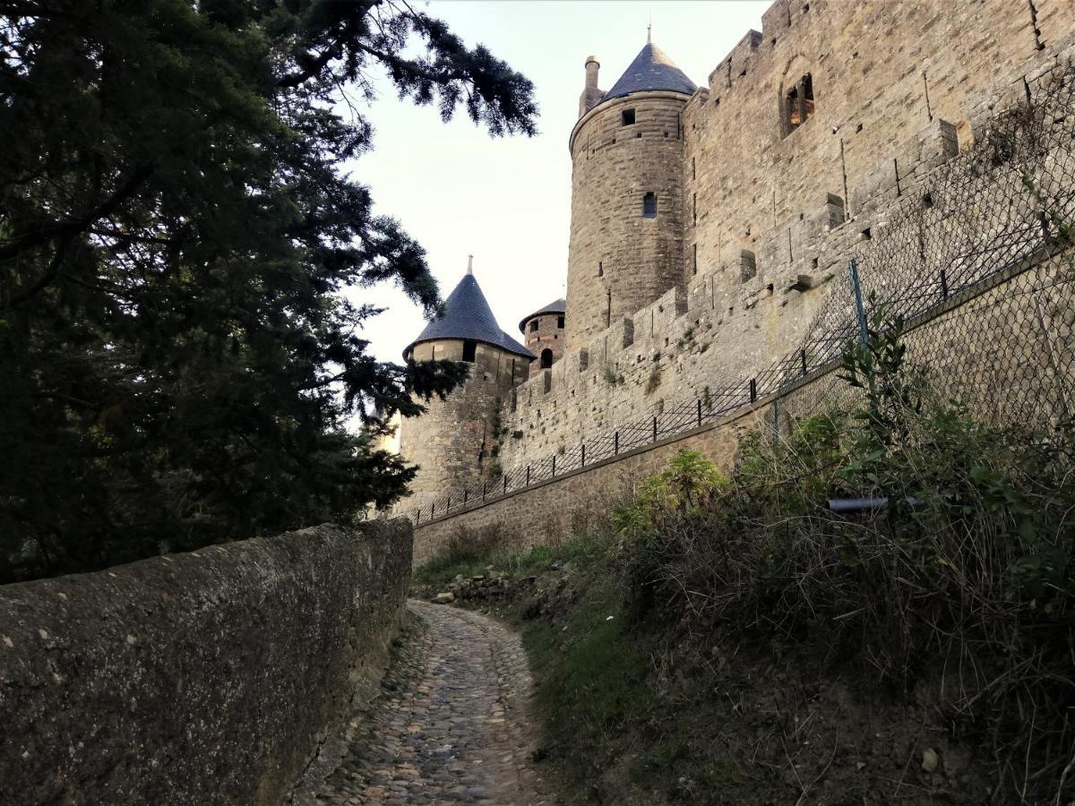 Appartement Sous Les Remparts カルカソンヌ エクステリア 写真