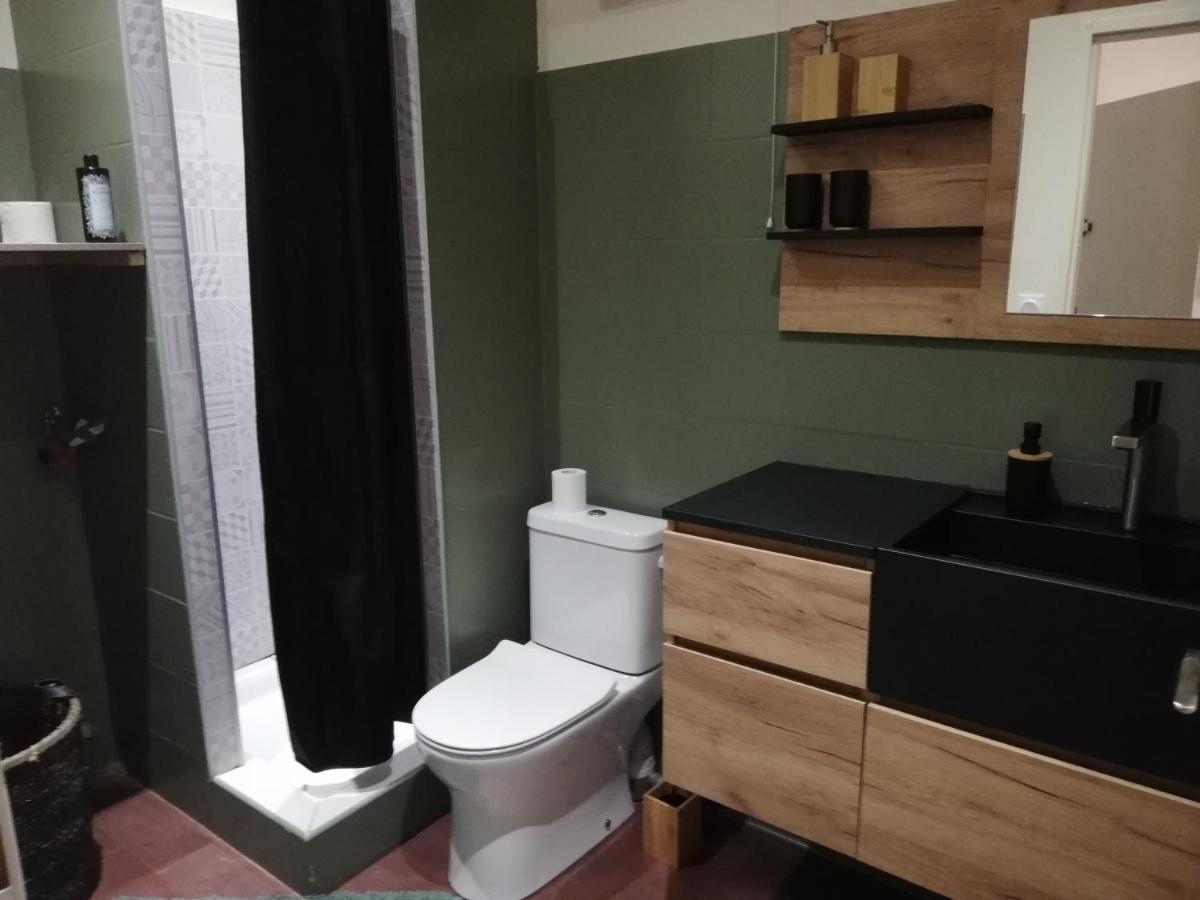 Appartement Sous Les Remparts カルカソンヌ エクステリア 写真